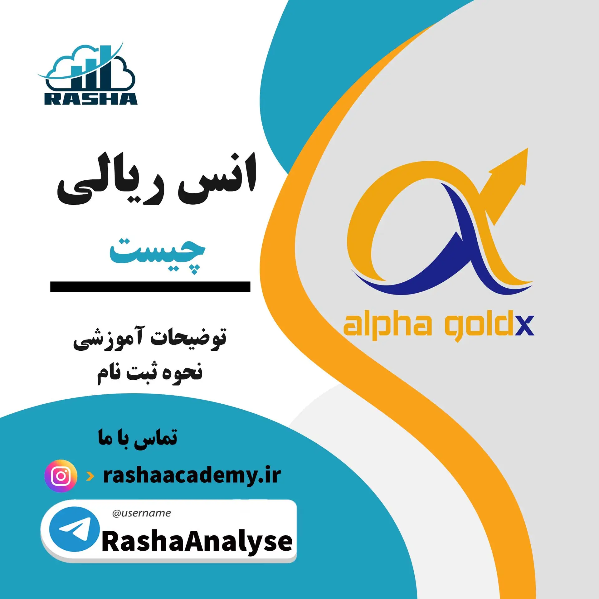 انس ریالی